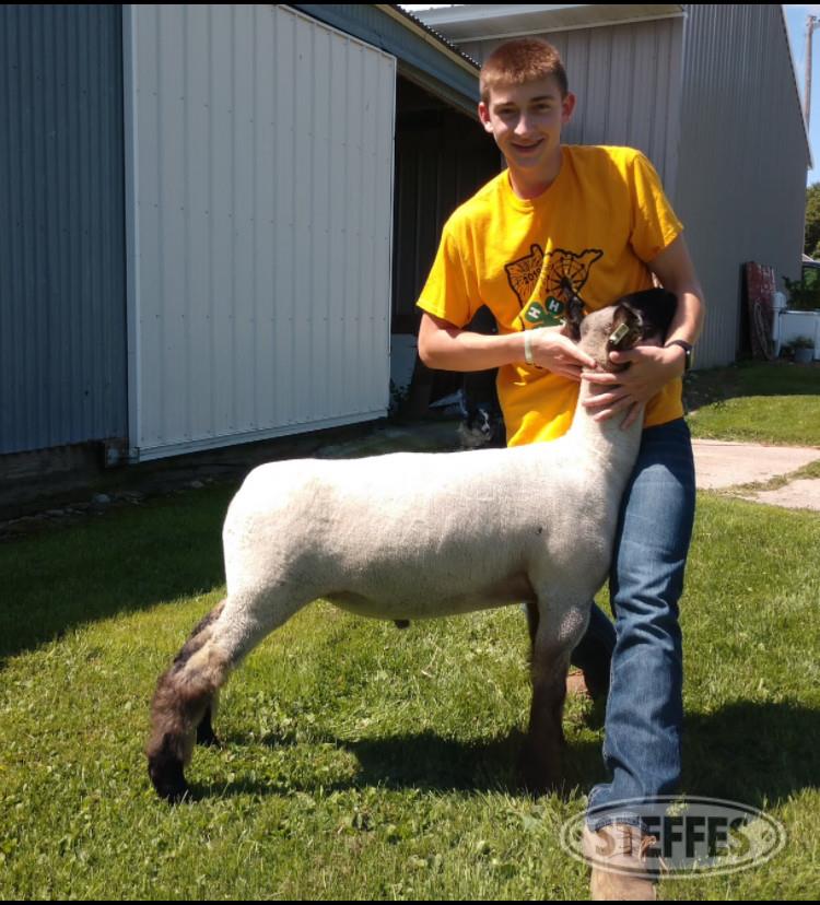  Tanner Kohls Sheep